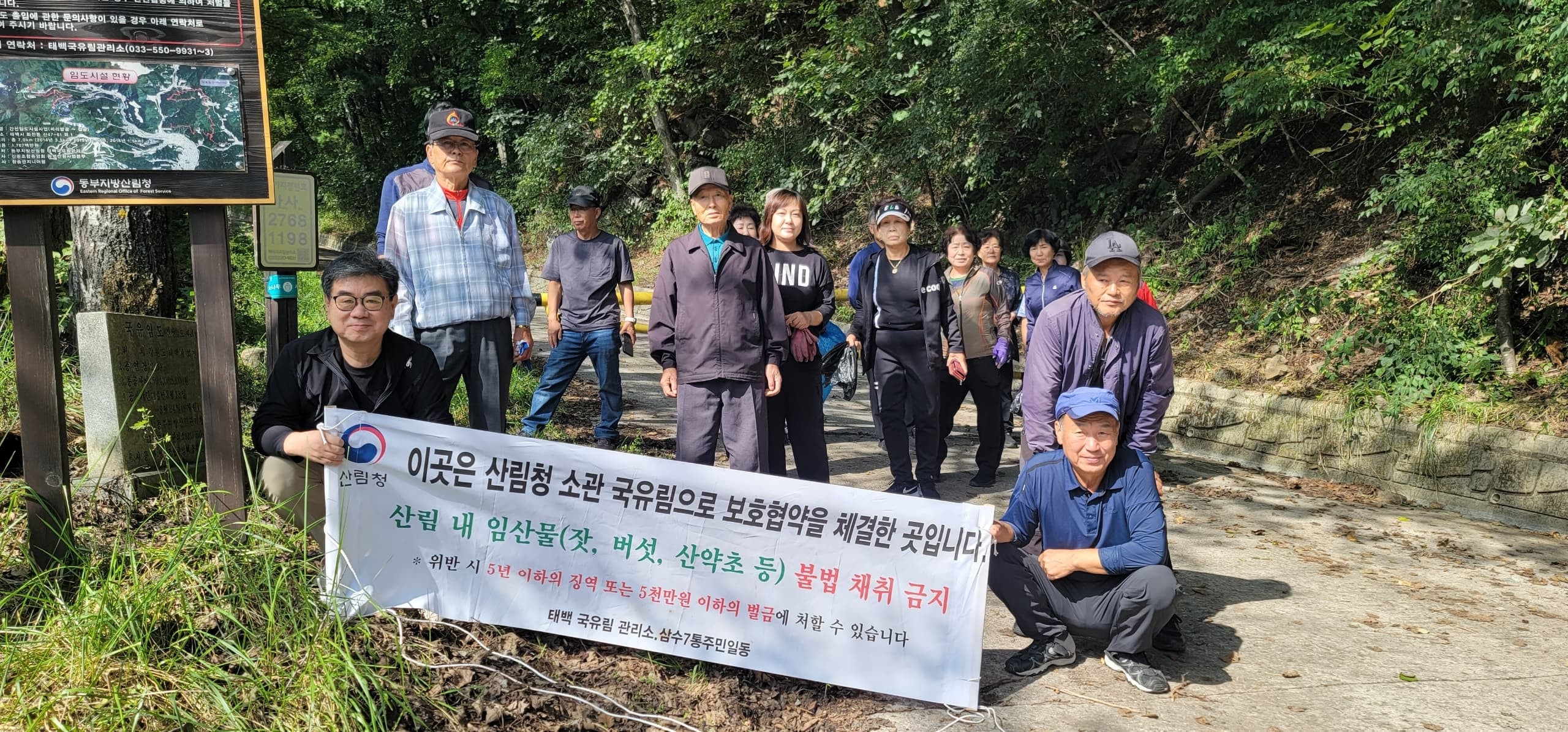 삼수동 7통 주민, 태백국유림관리소와 
임산물 불법채취 금지 캠페인 실시