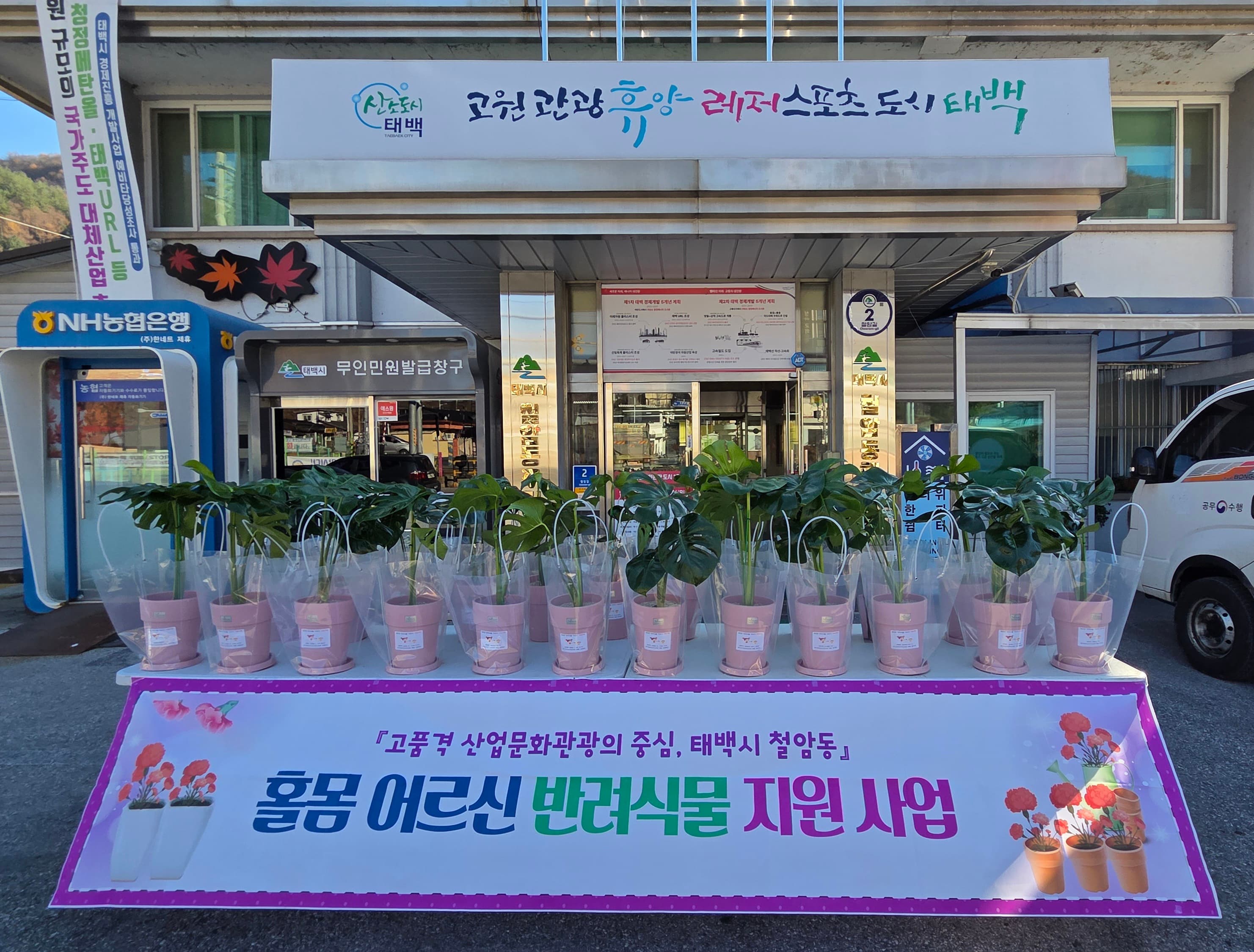 태백시시설관리공단, ‘2025 우수공공체육시설’ 공모 수상
– 태백국민체육센터, 지역 체육혁신의 새로운 기준 제시 –